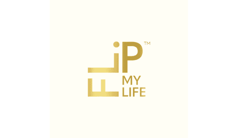 Flip My Life (US)